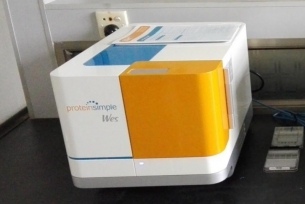 17500585747894_s.jpg